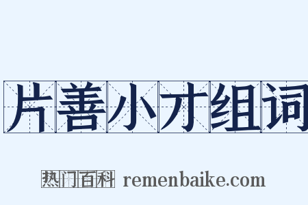 片善小才组词是什么意思的图片